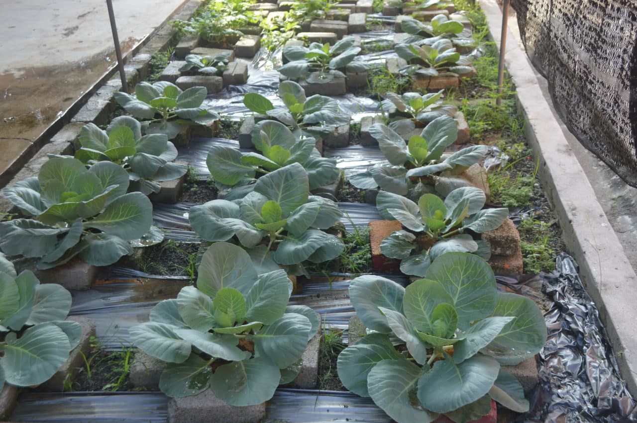 taman sains 4 taman sains 4